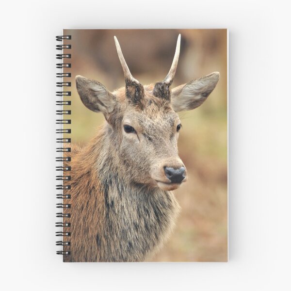 Item preview, red deer youngster designed and sold by Grandalf.