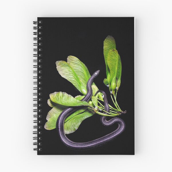 Item preview, No Apples designed and sold by Carla Wick/Jandelle Petters.