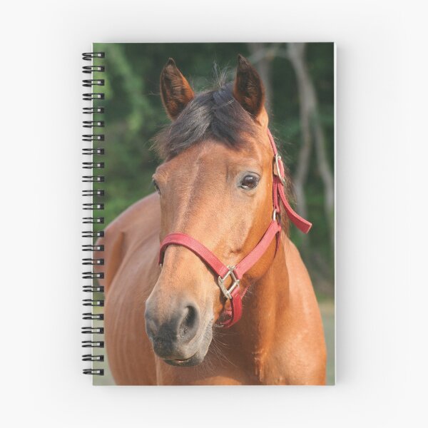 Item preview, Horse in a Field designed and sold by DebbieCHayes.