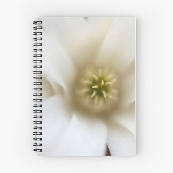 Item preview, Magnolia Stellata designed and sold by Ian Sanders.
