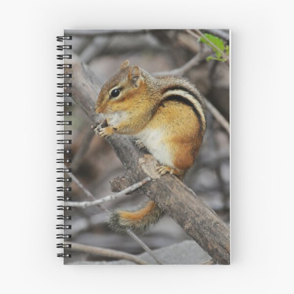 Item preview, NY CHIPMONK -II- designed and sold by mc27.