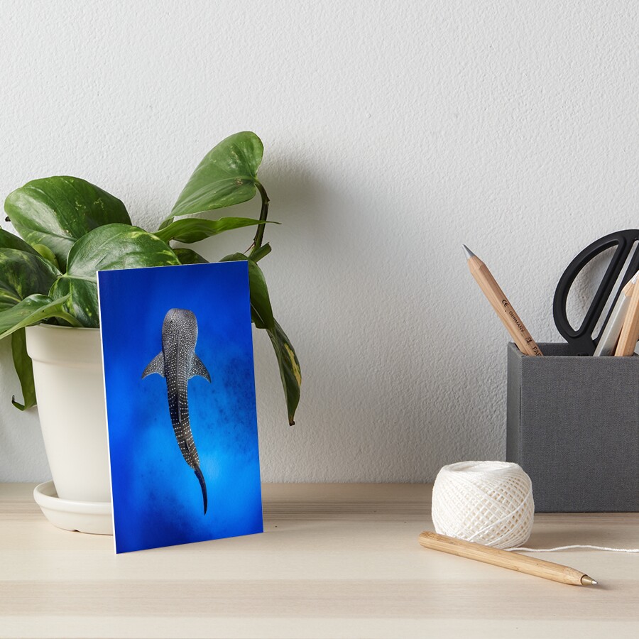 Item preview, Art Board Print designed and sold by Jesshaddenphoto.