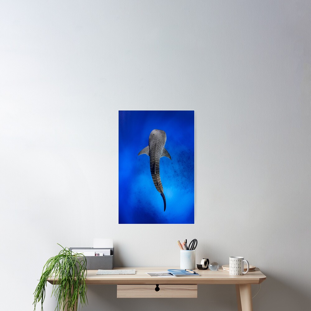 Item preview, Poster designed and sold by Jesshaddenphoto.