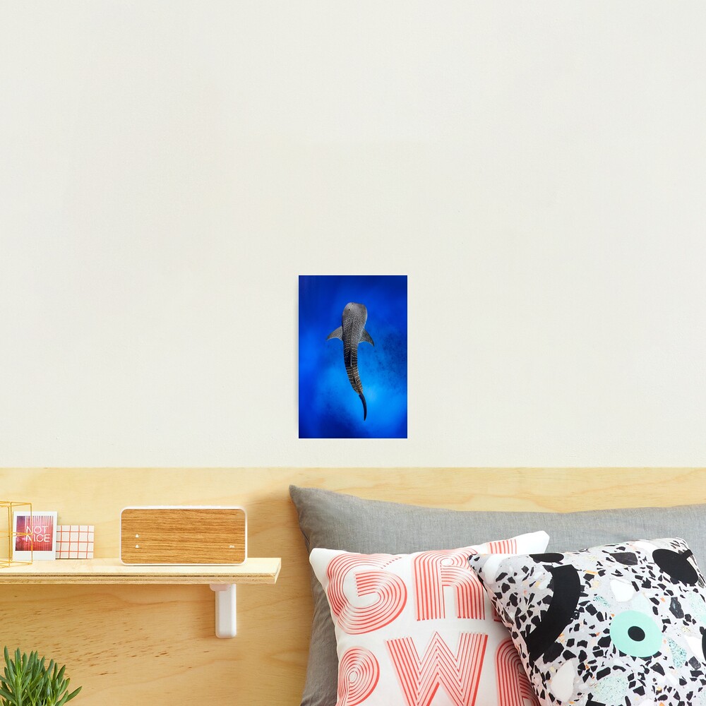 Item preview, Photographic Print designed and sold by Jesshaddenphoto.