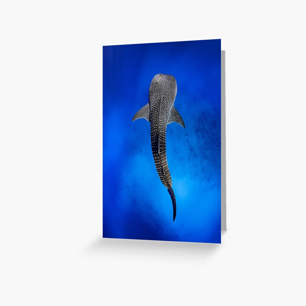 Item preview, Greeting Card designed and sold by Jesshaddenphoto.
