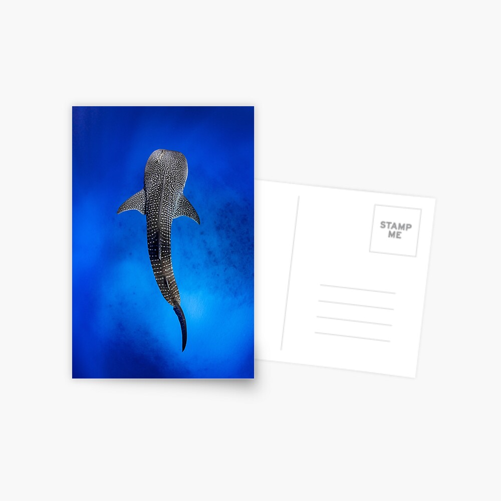 Item preview, Postcard designed and sold by Jesshaddenphoto.