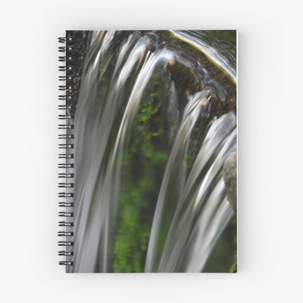 Item preview, Yosemite Fern Spring designed and sold by ShootinMickey.