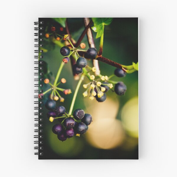Item preview, Ivy Berries designed and sold by Minna  Waring.