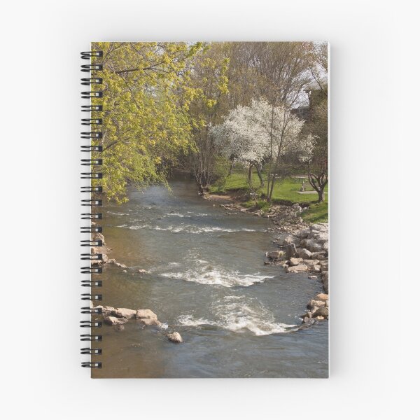 Artikelvorschau, Mill Cteek in Spring - Dexter, Michigan entworfen und verkauft von Robert Kelch, M.D..