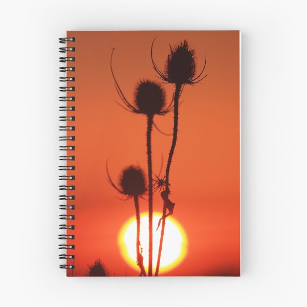Item preview, Winters Glow . designed and sold by Jon Baxter.