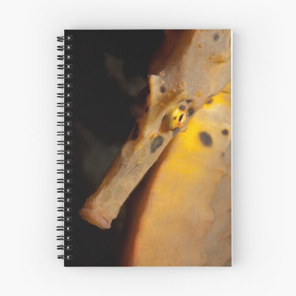 Item preview, Bashful. designed and sold by James Peake Nature Photography..