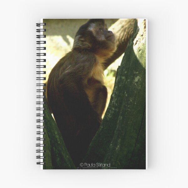 Item preview, The Monkey and the Moss designed and sold by Gozza.