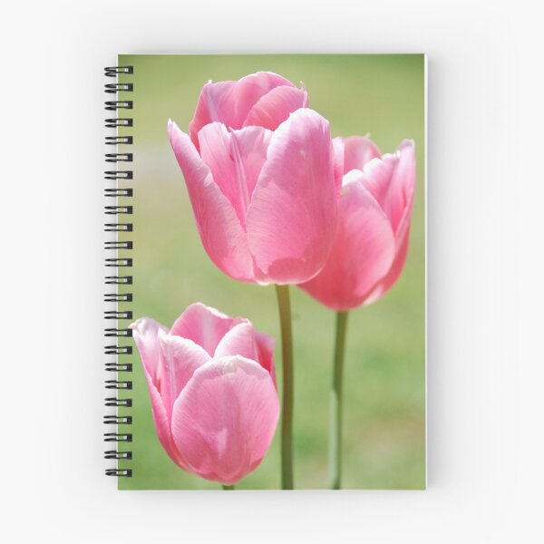 Item preview, Triple Play Tulips designed and sold by xPressiveImages.