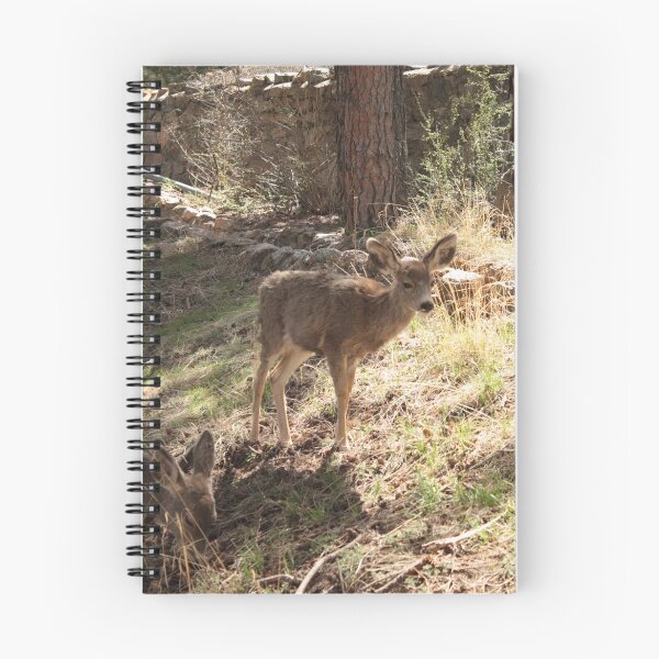 Item preview, Mule deer in the sunlight designed and sold by starbucksgirl26.