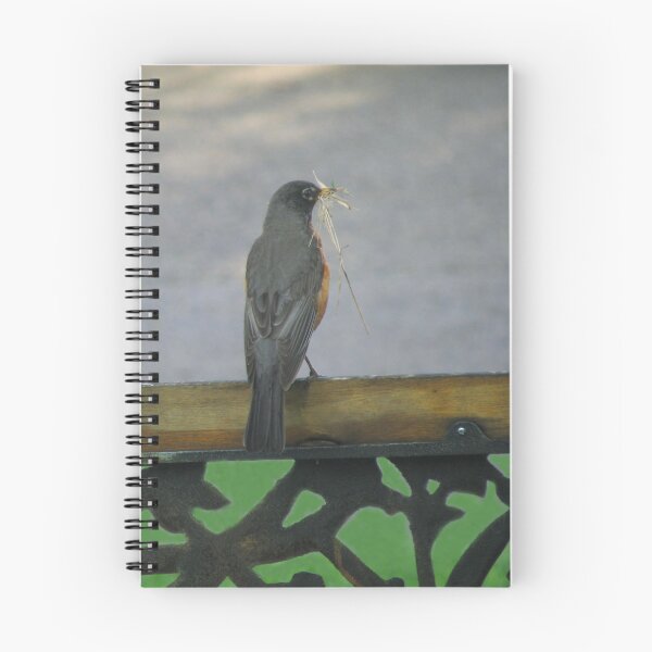 Item preview, Building A Nest designed and sold by Linda Miller Gesualdo.