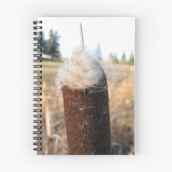 Item preview, Cattail Seeds designed and sold by kenspics.