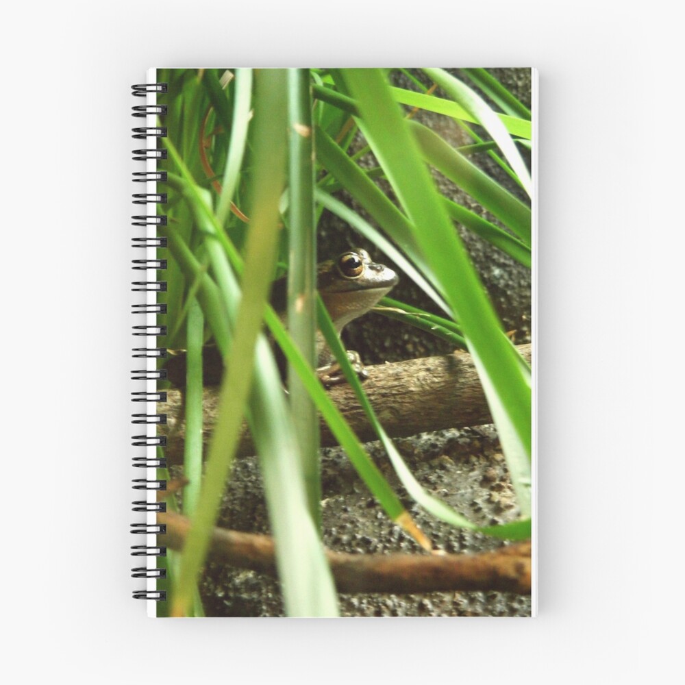 Item preview, Spiral Notebook designed and sold by Gozza.