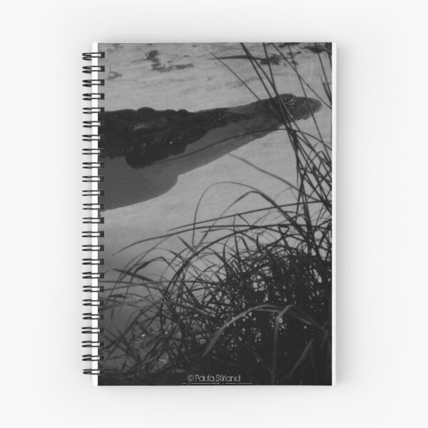 Item preview, Anyone for a swim? designed and sold by Gozza.