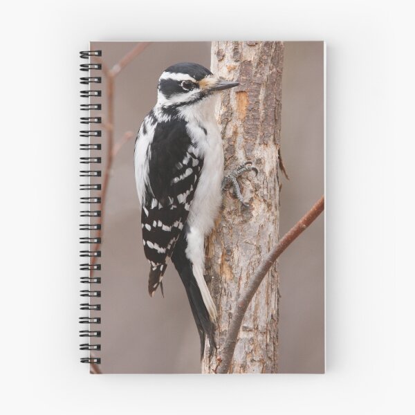 Item preview, 375x360 designed and sold by TCW Studios.