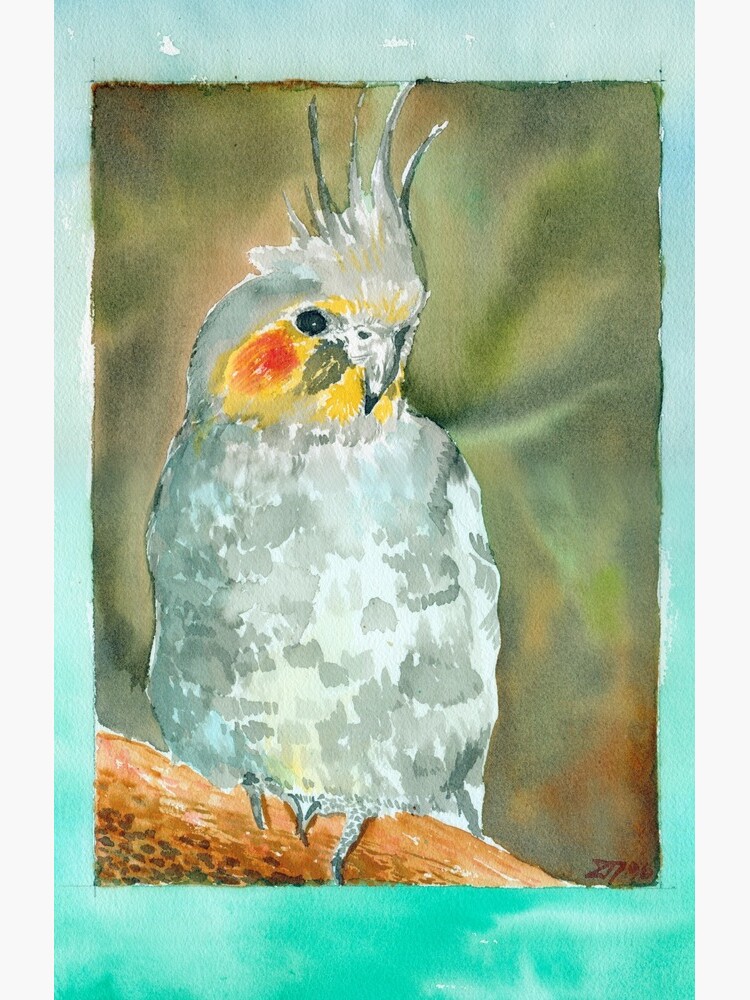 Cockatiel by Aakheperure