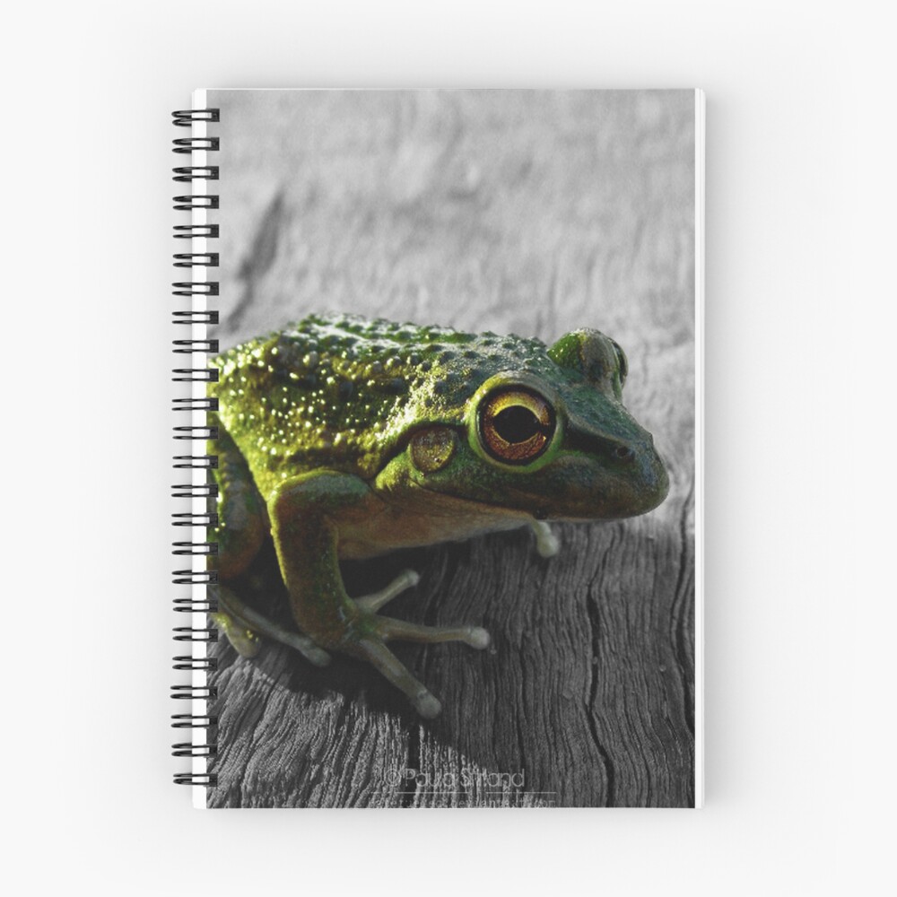 Item preview, Spiral Notebook designed and sold by Gozza.
