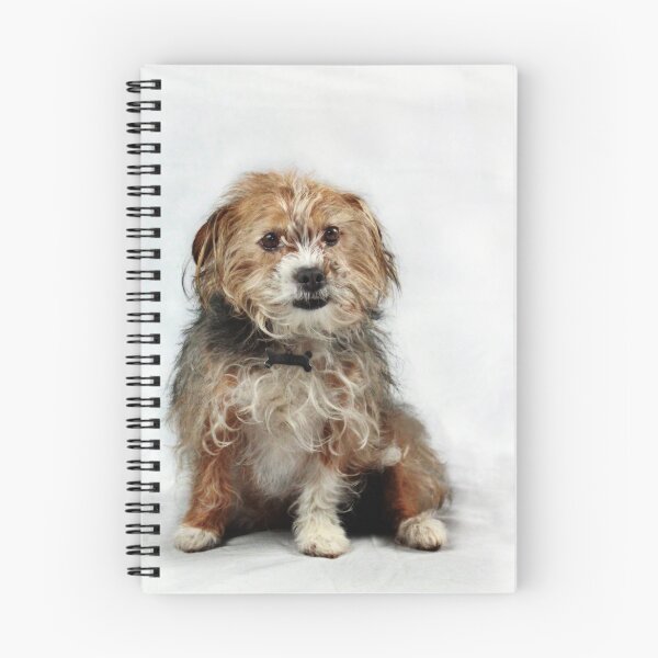 Item preview, Little Scruffy Duffs designed and sold by Squealia.