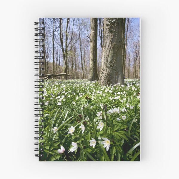Item preview, Wood Anemones and nascent Bluebells, Wepham Wood designed and sold by postmansmith.