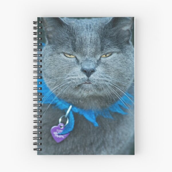 Item preview, Tuffy designed and sold by Robin Nellist.