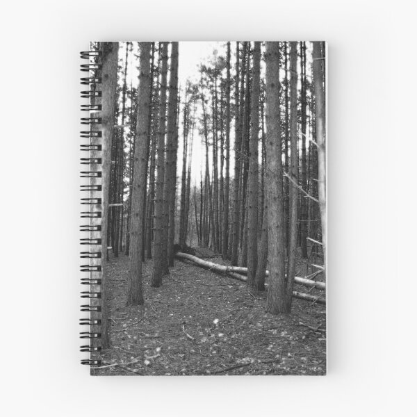 Item preview, Walk this Way designed and sold by Melissa Wuerthner.