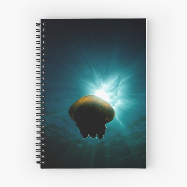 Item preview, Canon Ball Jellyfish designed and sold by Duncan Macfarlane.