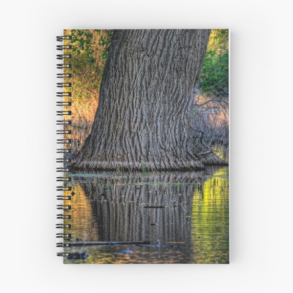 Artikelvorschau, Tree Sheen entworfen und verkauft von Bob Larson.