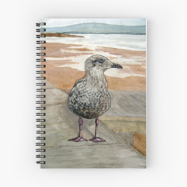 Item preview, "The Opportunist" - Juvenile Seagull (Seeking a Chip!) designed and sold by timsmith.