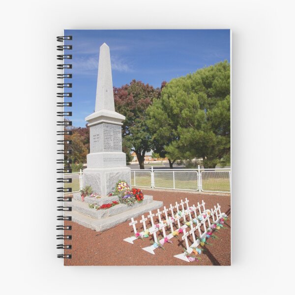 Item preview, Carisbrook Cenotaph  designed and sold by Arthur Koole.