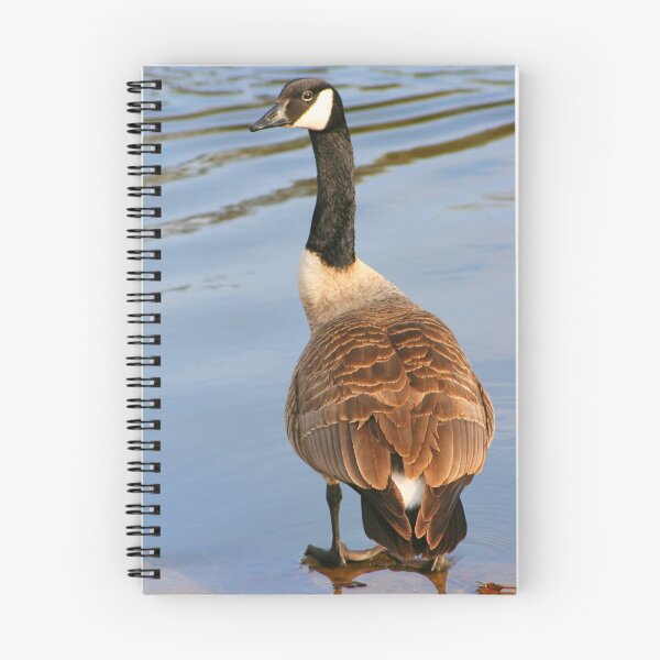 Item preview, Duckie designed and sold by Stephanie Hillson.
