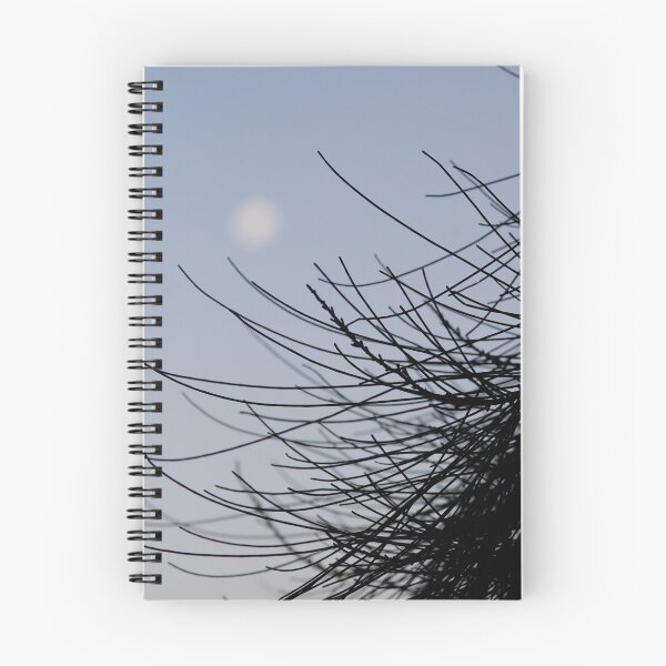 Item preview, casuarina moon designed and sold by Naia.
