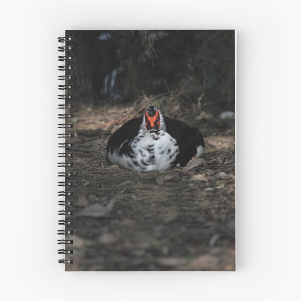 Item preview, Just sittin' designed and sold by Jerry Tingle - photofirst.