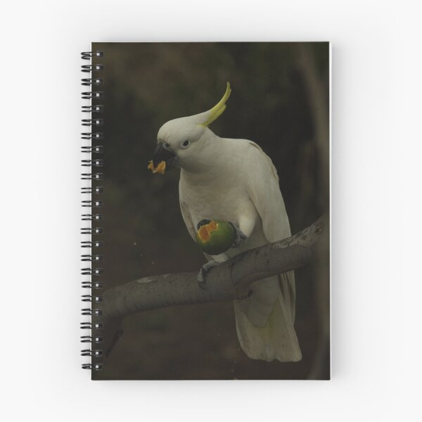 Item preview, Cocky and Lime IV designed and sold by Jerry Tingle - photofirst.