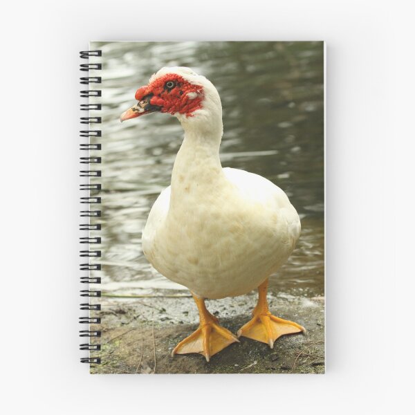 Item preview, When? designed and sold by Jerry Tingle - photofirst.