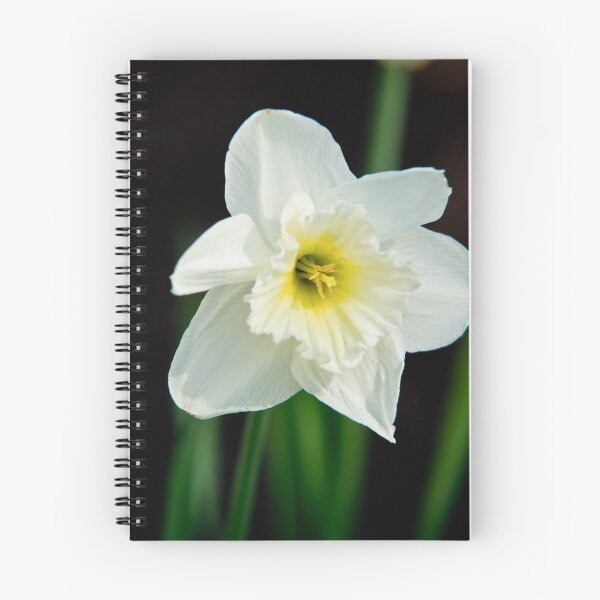 Item preview, White Daffodil designed and sold by Edward Myers.