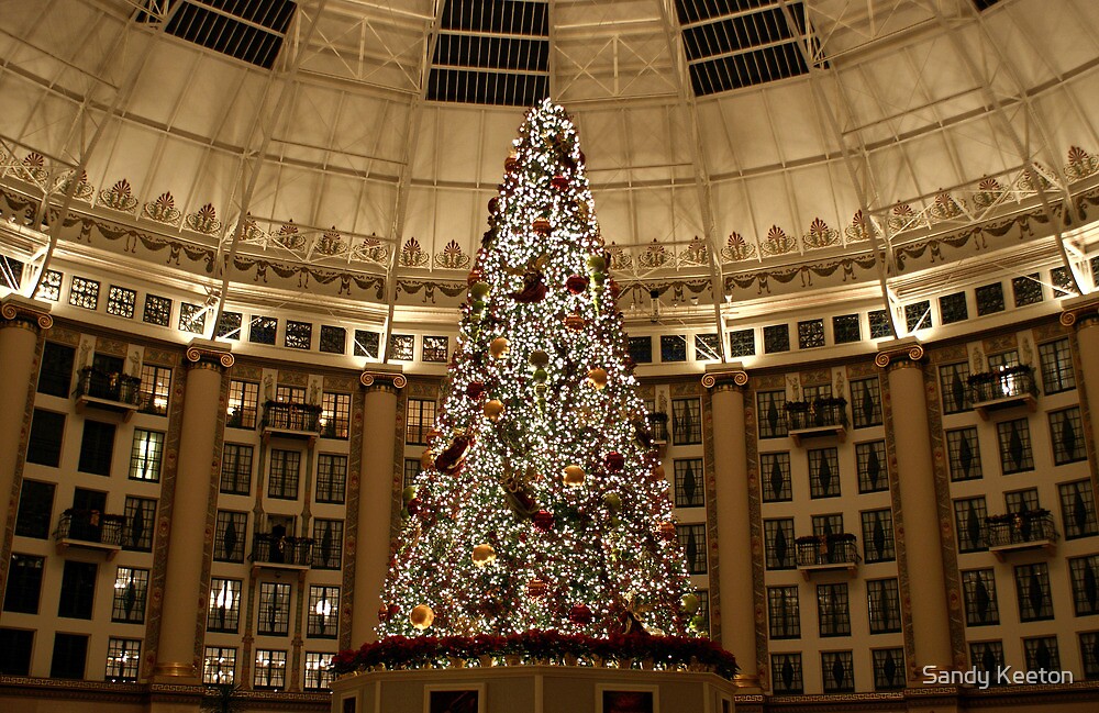 "Christmas Tree at West Baden" by Sandy Keeton Redbubble