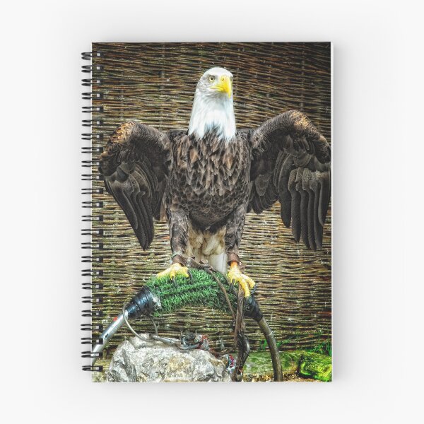 Item preview, Bold Eagle designed and sold by Photography & Emotive Ai.