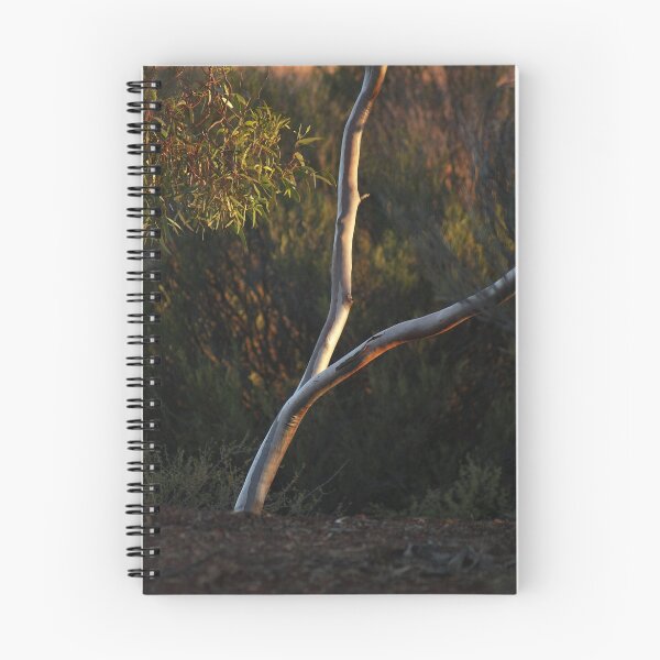 Item preview, Catch the Light, Kalgoorlie West Australia designed and sold by robynart.