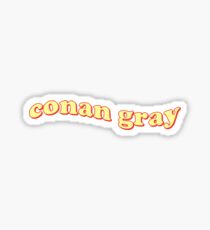 conan gray Sticker