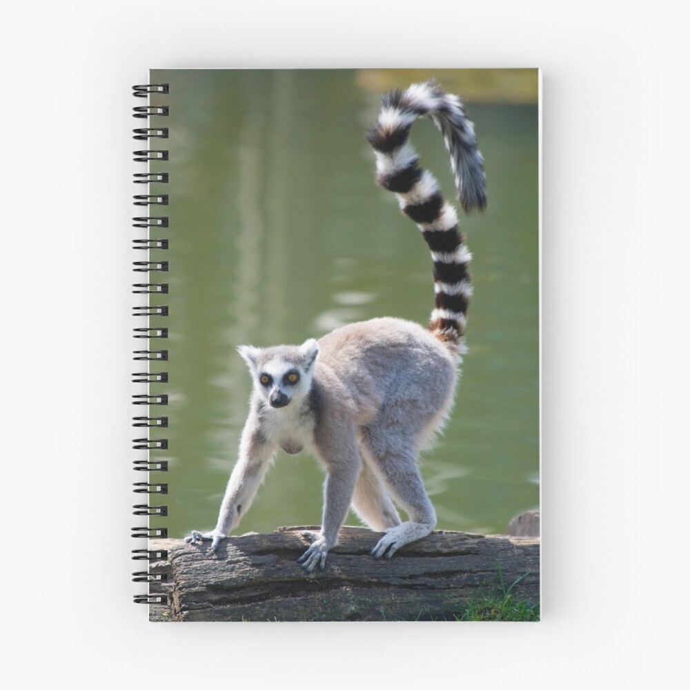 Item preview, Spiral Notebook designed and sold by walterq.