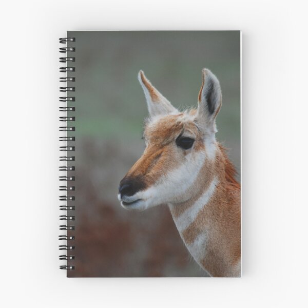 Artikelvorschau, antelope doe #341 entworfen und verkauft von Rodney55.