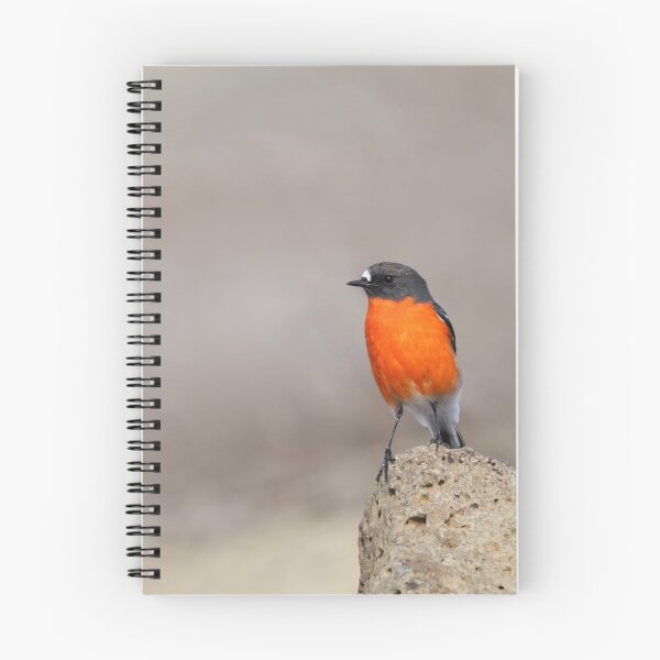 Item preview, Flame Robin designed and sold by Jeremy Weiss.