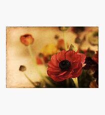 brocade Photographic Print