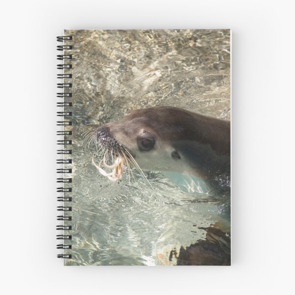 Item preview, Australian Sea lion Breakfast designed and sold by weigi.