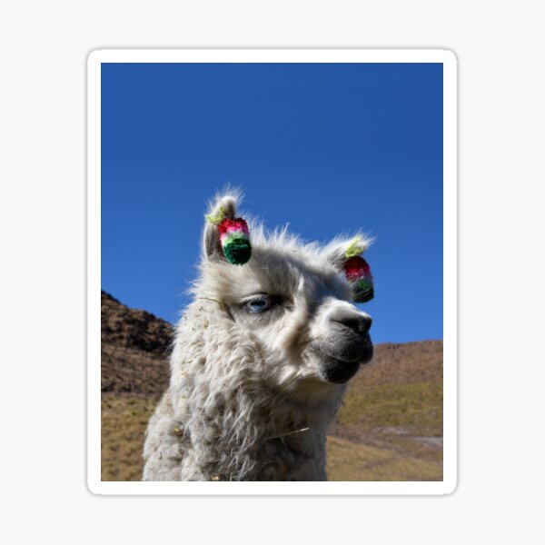 Item preview, Vicuña (Vicugna vicugna) Chile designed and sold by Schoensl.