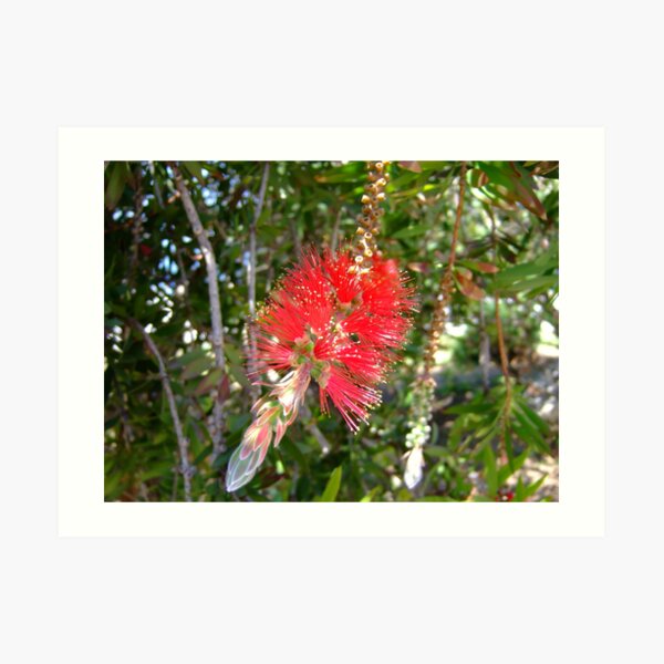 Too pretty to wash bottles Art Print